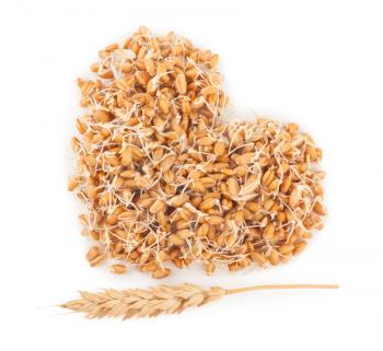Heart of grown wheat
