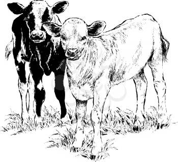 Dairy Clipart