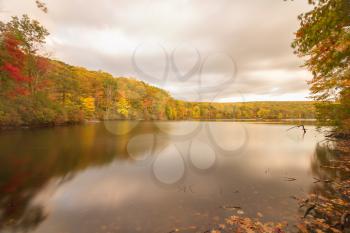 Fall landscape with the forest lake.