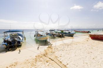 View of a tropical Caribbean Island paradise.