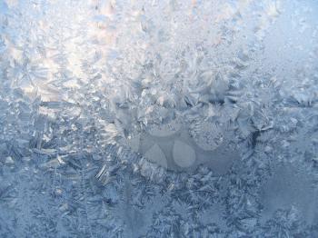 frosty natural pattern on winter window