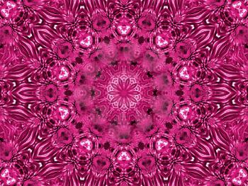 Abstract pattern with flower of chrysanthemum