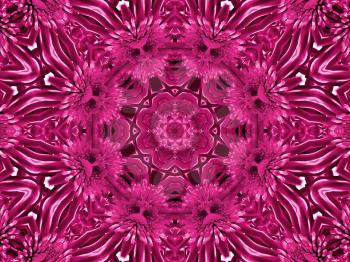 Abstract pattern with flower of chrysanthemum