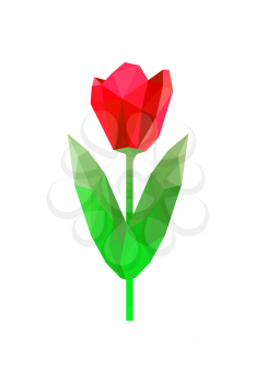Illustration of red origami tulip isolated on white background