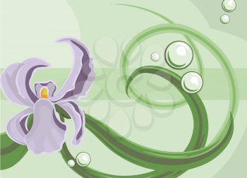 Royalty Free Clipart Image of an Orchid Background