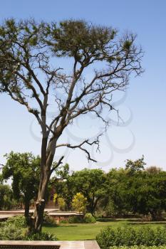 Garden area of a mausoleum, Tomb Of Akbar The Great, Sikandra, Agra, Uttar Pradesh, India