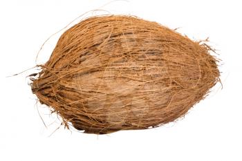 Close-up of a coconut