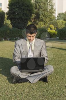 Businessman using a laptop in a park