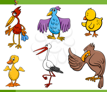 Cartoon Illustration of Funny Birds Set