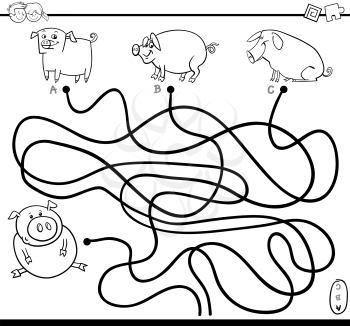 Black and White Cartoon Illustration of Paths or Maze Puzzle Activity Game with Pigs and Piglet Farm Animal Characters Coloring Page