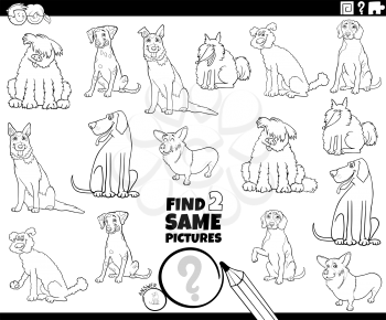 Pictures Clipart