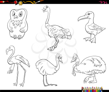 Black and White Cartoon Illustration of Birds Species Animal Characters Set Coloring Book Page
