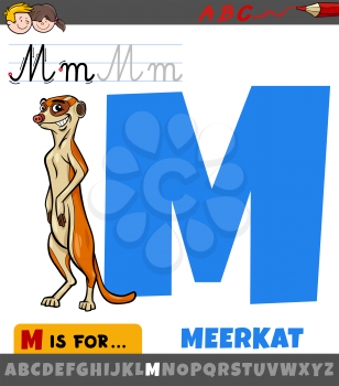 Educational cartoon illustration of letter M from alphabet with meerkat animal character