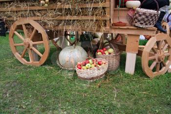 wheel of the old-time cart