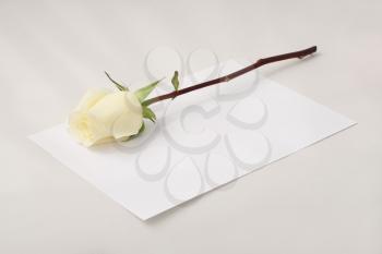 rose on paper