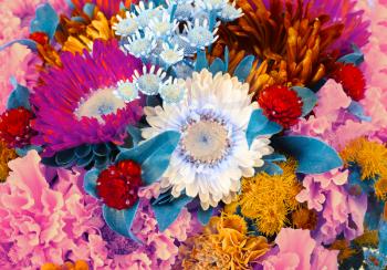 blooming flowers colorful bouquet background