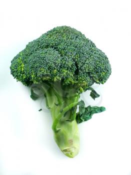 branches of cabbage of a broccoli on a white background 