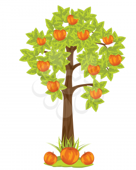 The Aple tree with harvest red apple.Vector illustration