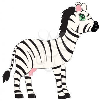 Vector illustration animal zebra on white background is insulated