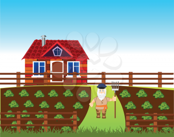 The Area with vegetable garden and house.Vector illustration