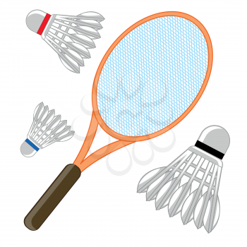 Racket and shuttlecock for game of badminton