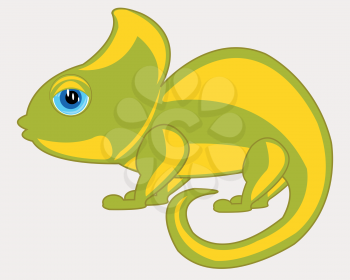 Animal chameleon on white background is insulated