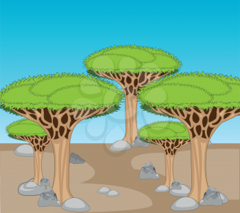 Vector illustration to arid stone desert and exotic Drakonovo tree