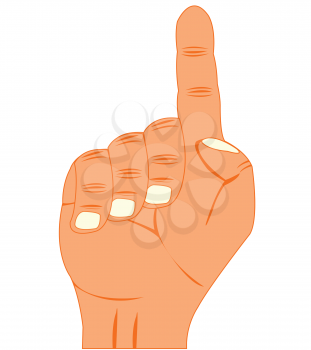 Vector illustration of the hand with extended upwards to index fingers