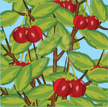 Vector illustration of the cartoon tree cherry with ripe fruit