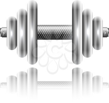 Metal sports dumbbell with reflection