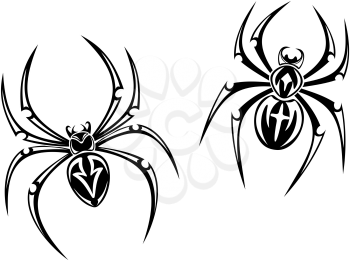 black danger spiders isolated on white background for tattoo. Vector illustration