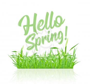 Text message hello spring, on a background of spring grass on a white background. Vector ilustration