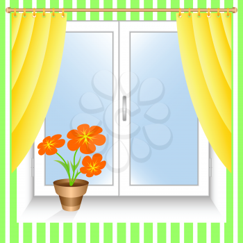 Flower at a window.