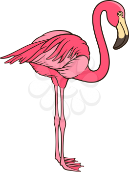 Pink flamingo isolated on white. This vector illustration can be used as a print on T-shirts or other uses