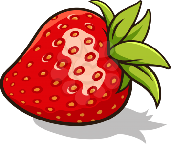 Vector illustration of fresh, ripe strawberry  isolated on white