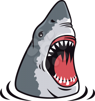 Shark attack vector illustration for t-shirt apparel design