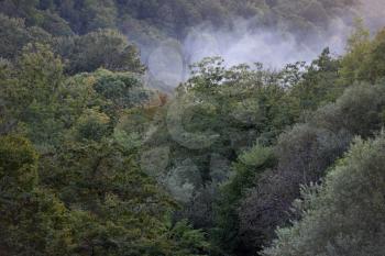 Smoke from a fire over a dense forest in a mountainous area near the city of Gelendzhik