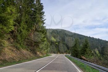 Asphalt road with turns through the coniferous forest of the Schwarzwald in Germany