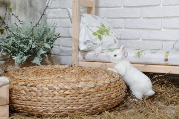 A small and curious white rabbit with blue eyes, jumping over dry hay in a studio with Easter decor. Studio photography