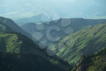 Mountains and forest In an aerial view. Shot in xinjiang, China.