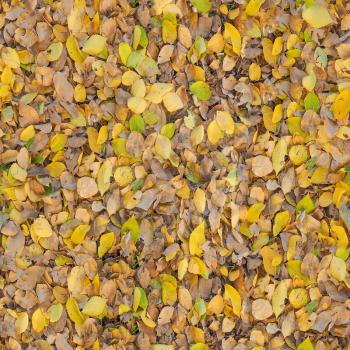 seamless tileable brown leaves texture useful as a background