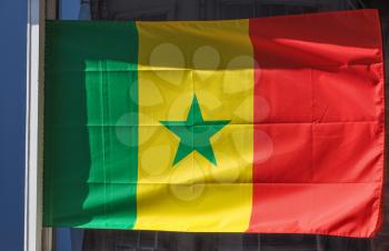 the Senegalese national flag of Senegal, Africa