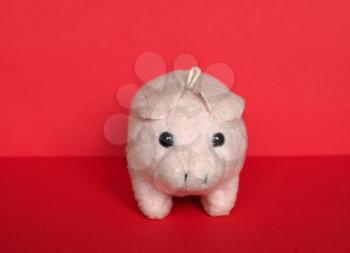 pink plush pig stuffed toy animal over red background