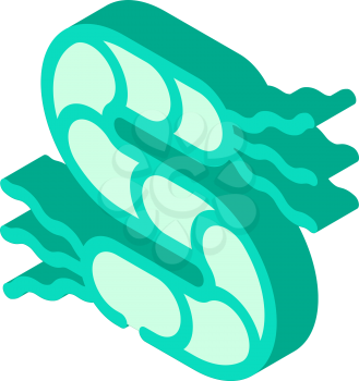 spirilla bacteria isometric icon vector. spirilla bacteria sign. isolated symbol illustration