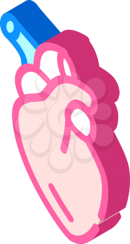 heart human organ isometric icon vector. heart human organ sign. isolated symbol illustration