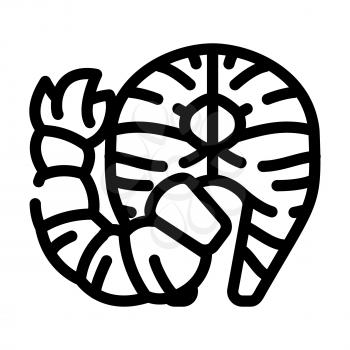 sea product fish and shrimp line icon vector. sea product fish and shrimp sign. isolated contour symbol black illustration