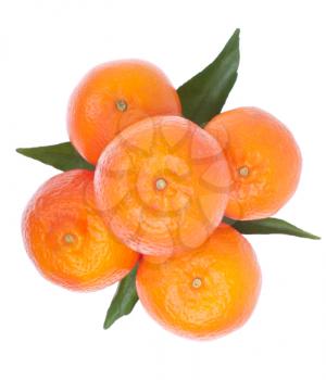 Royalty Free Photo of Oranges