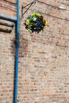 Royalty Free Photo of a Hanging Pot of Flowers