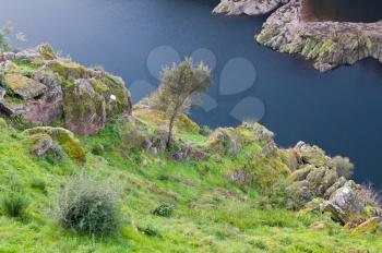 Royalty Free Photo of the Zezere River in Tomar, Portugal