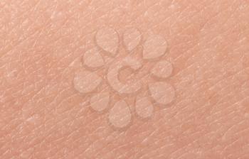 Texture of human skin, closeup�